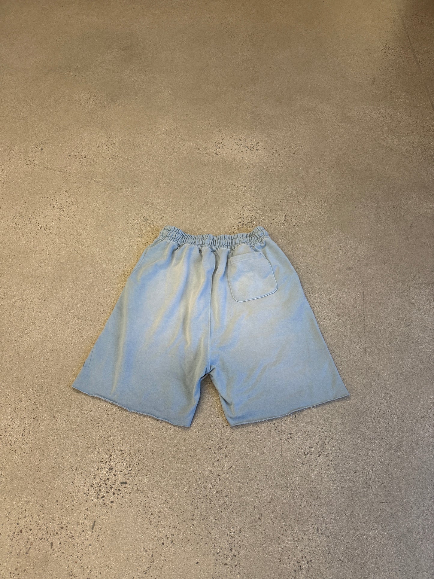 Paly Hollywood Baby Blue Bobby Driscoll Sweat Shorts