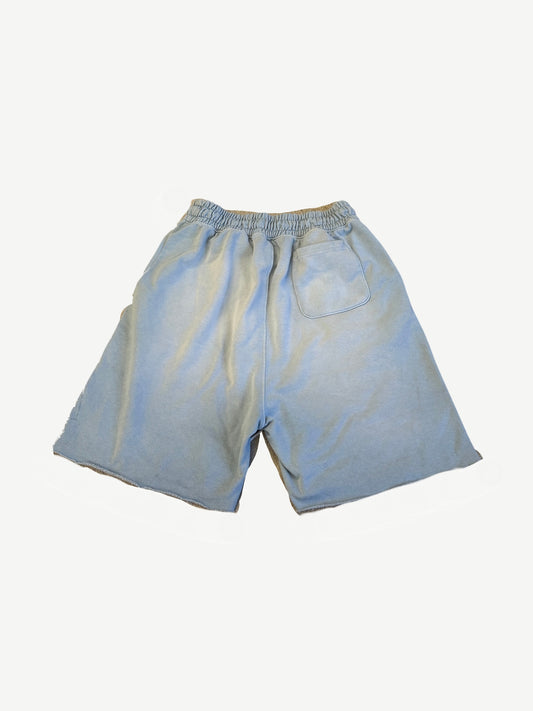 Paly Hollywood Baby Blue Bobby Driscoll Sweat Shorts