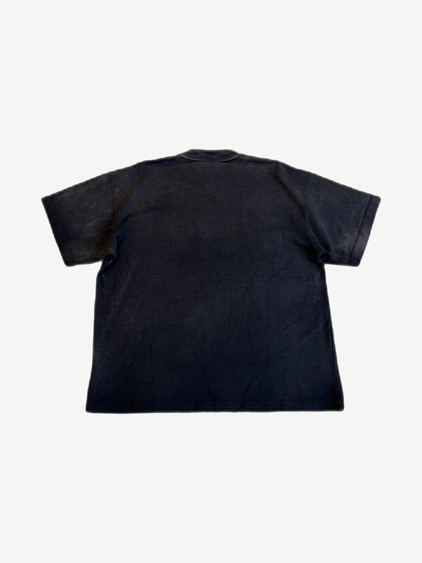 Satoshi Nakamoto washed black short-sleeve tee back view with blank reverse panel and soft fade.