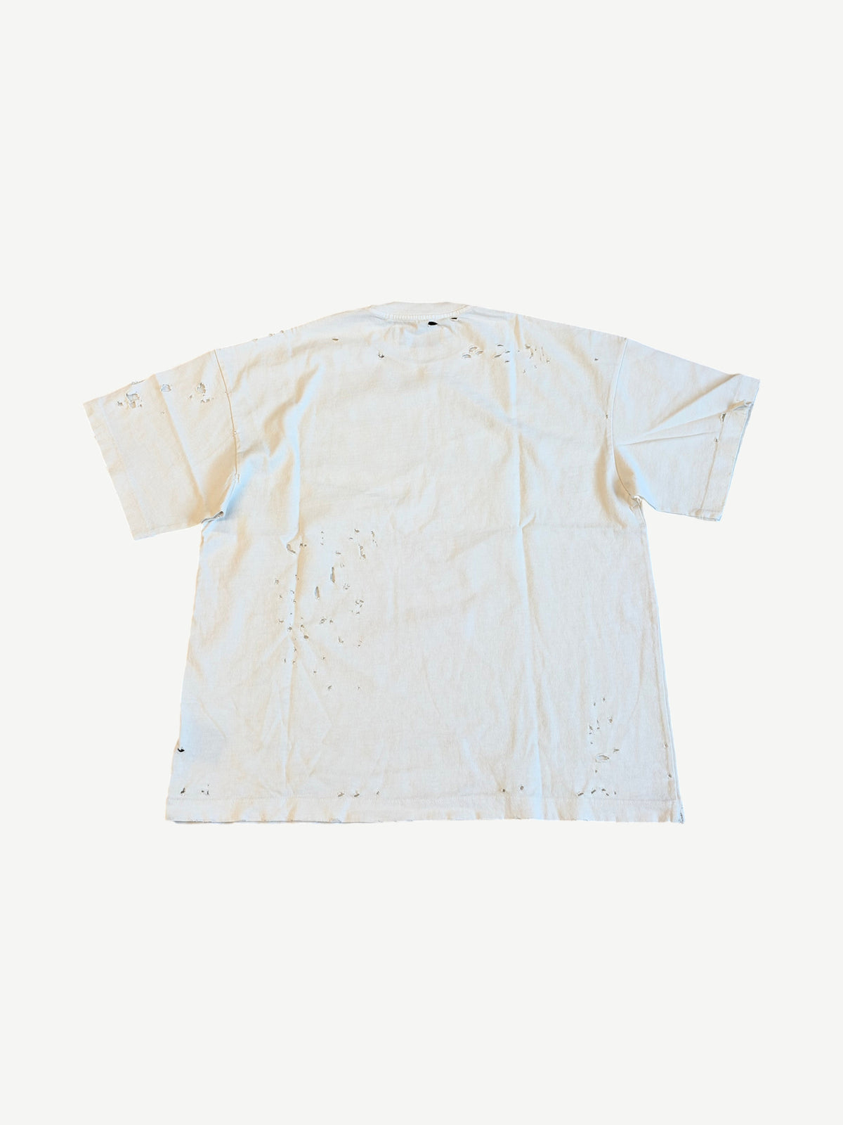Satoshi Nakamoto White Eye Tee