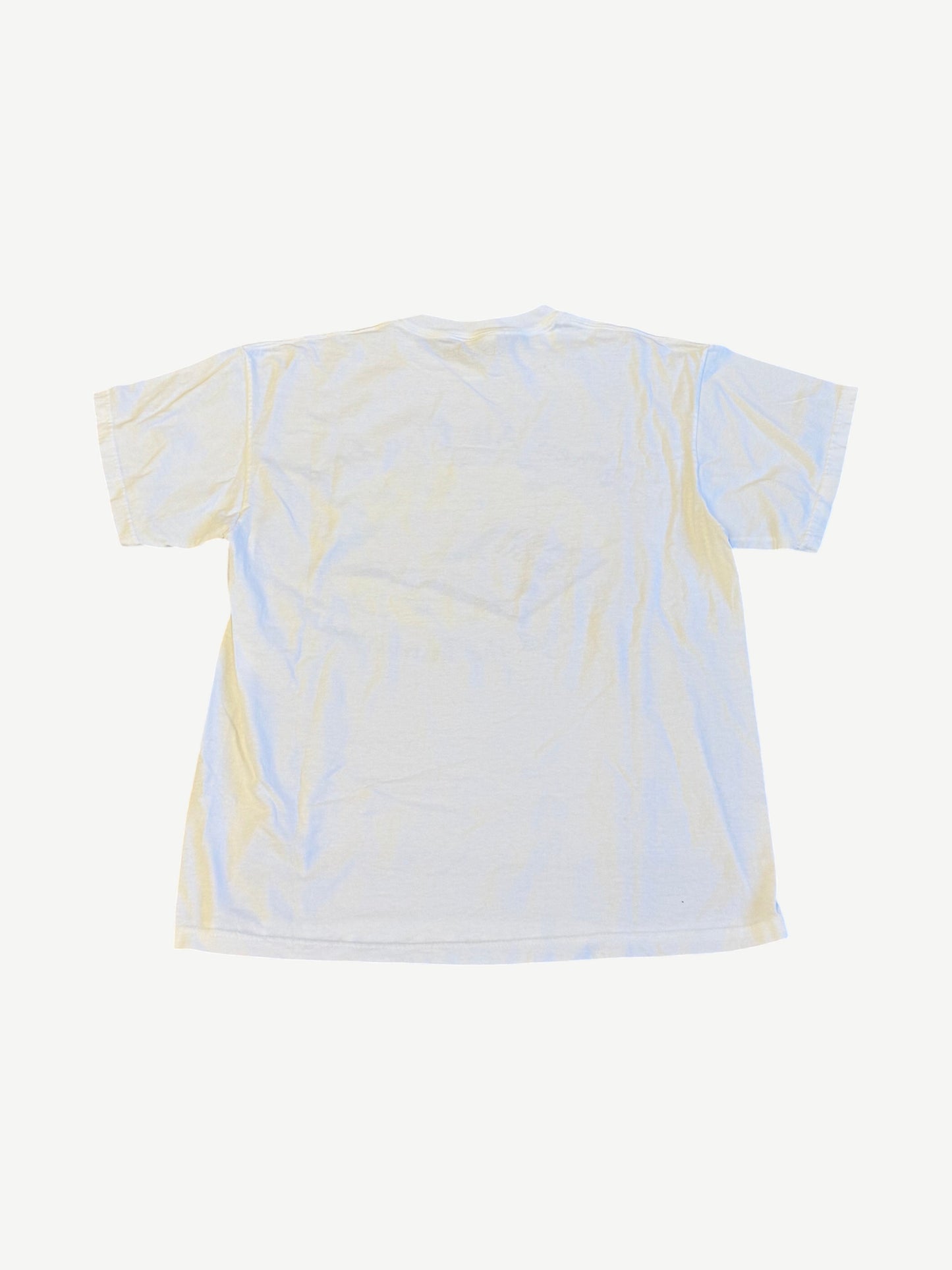 Vintage Holy Bible When All Else Fails Tee
