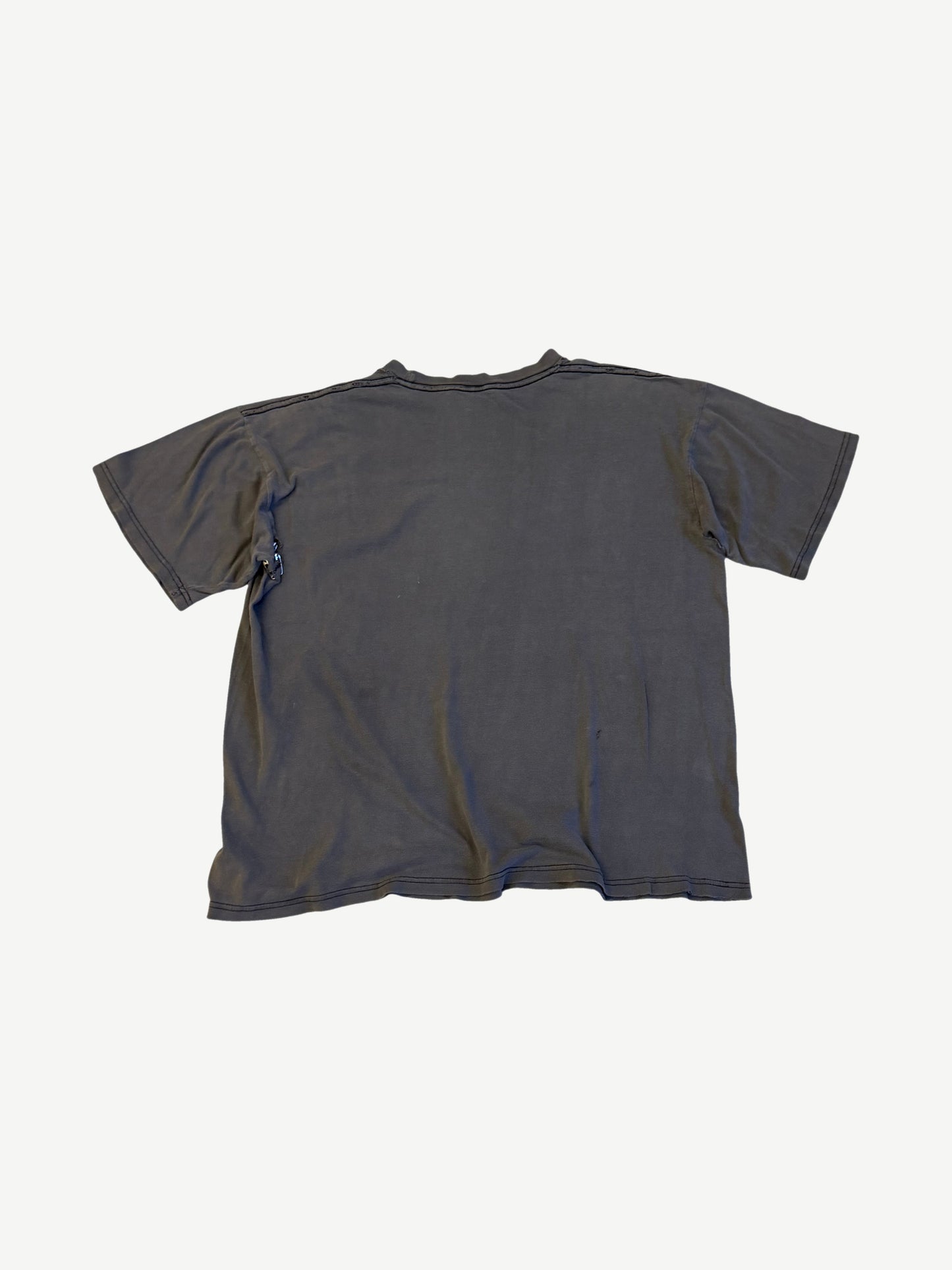 Vintage MLK Obama Dreams Do Come True Tee