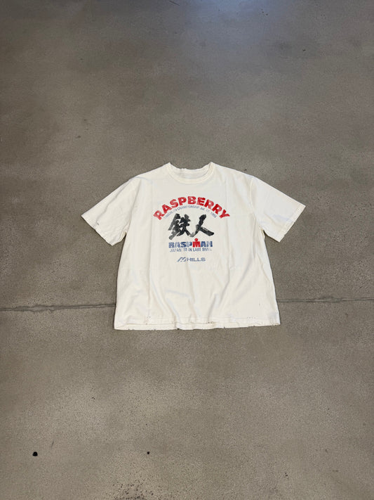 GV Gallery Raspberry Hills Lake Biwa tee in cream with scenic graphic print and oversized boxy cotton fit