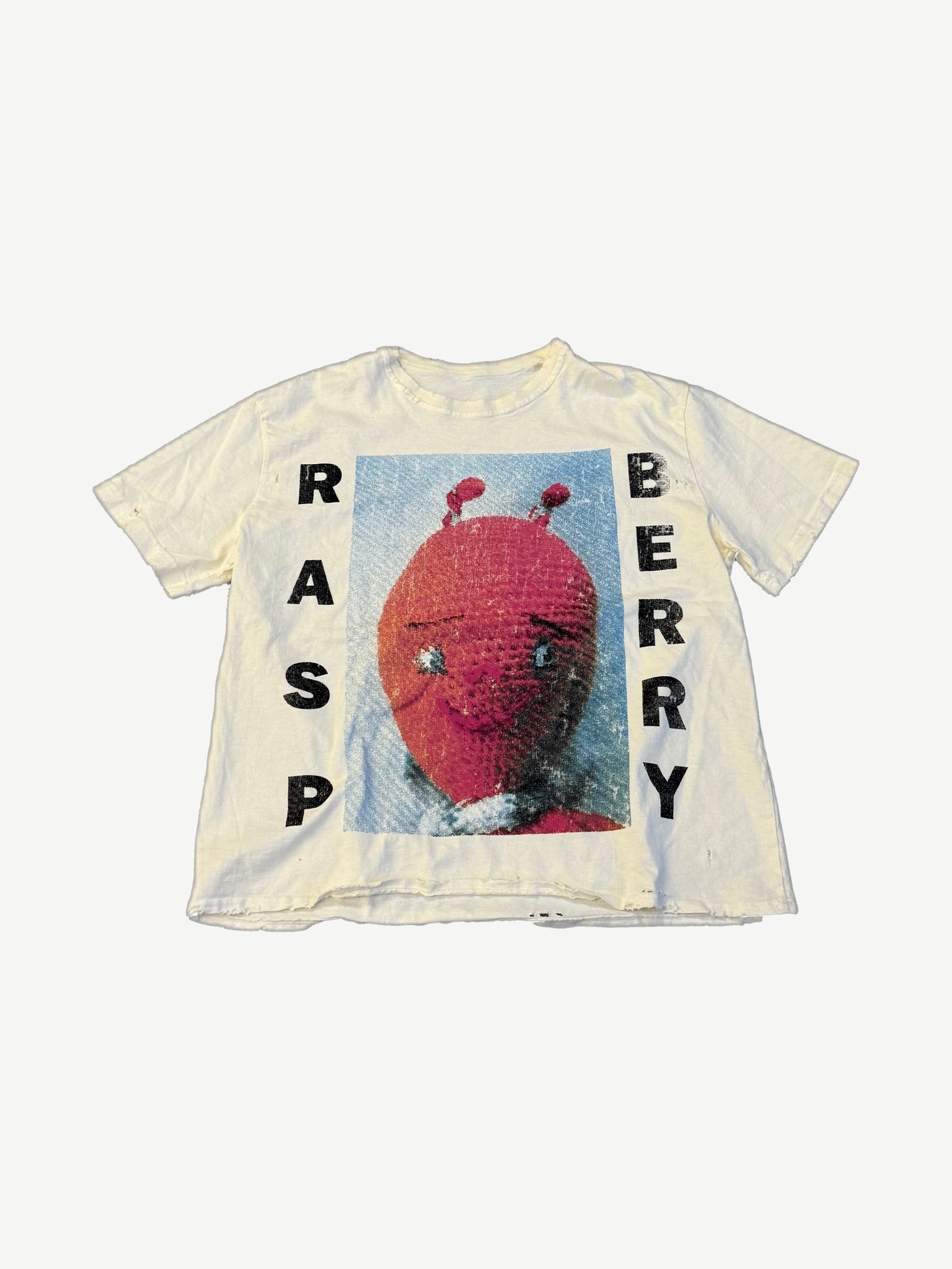 GV Gallery Raspberry Hills Sonic tee front in distressed cream with red raspberry photo and block RASP BERRY type