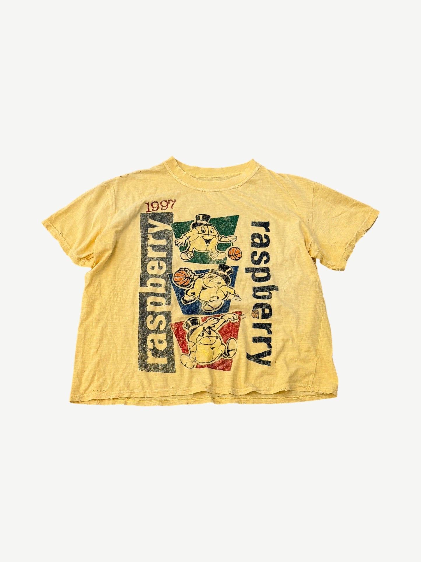 GV Gallery Raspberry Hills Yellow Macker Tee