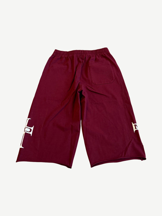 Happy Memories Don't Die HMDD Maroon Holy Cross 3/4 Shorts