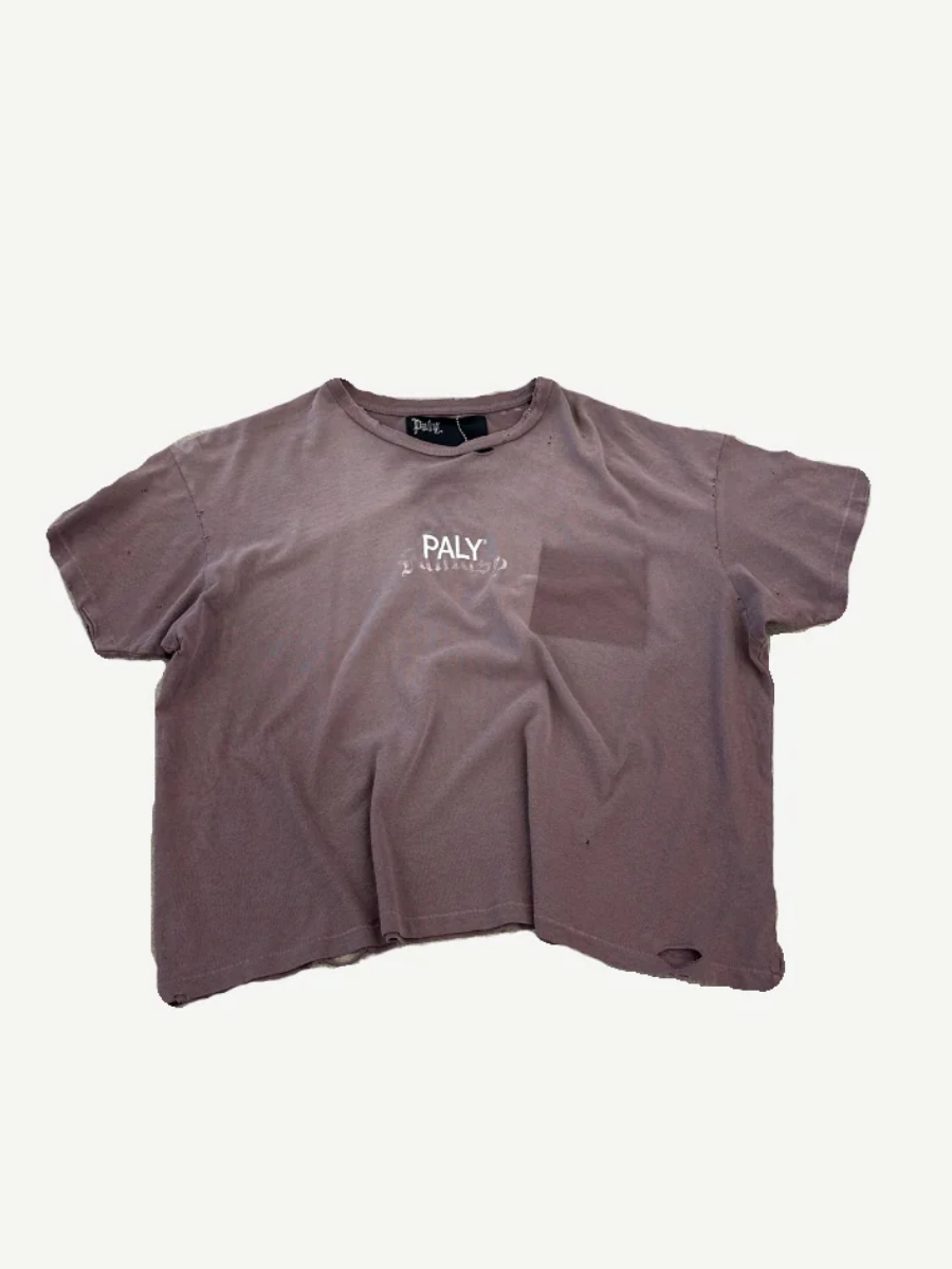 Paly Hollywood brown short sleeve tee front with cream core logo print across the chest.