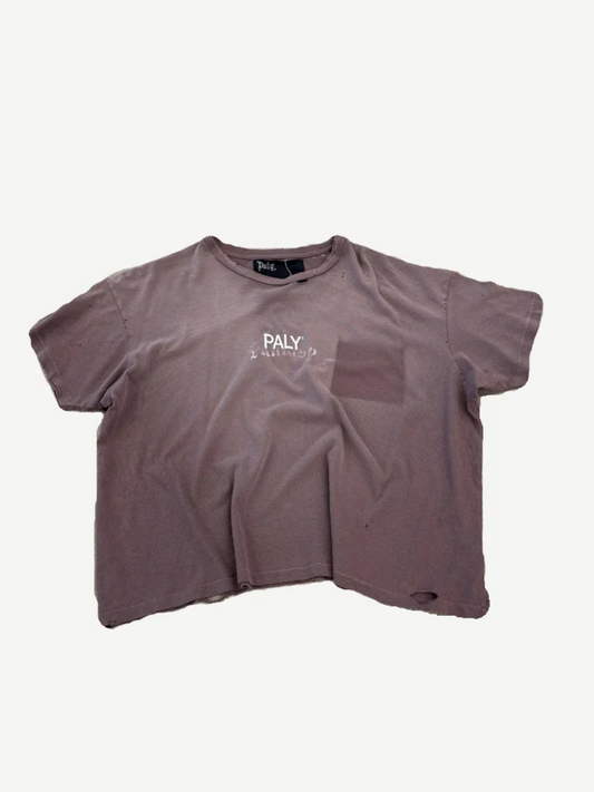 Paly Hollywood brown short sleeve tee front with cream core logo print across the chest.