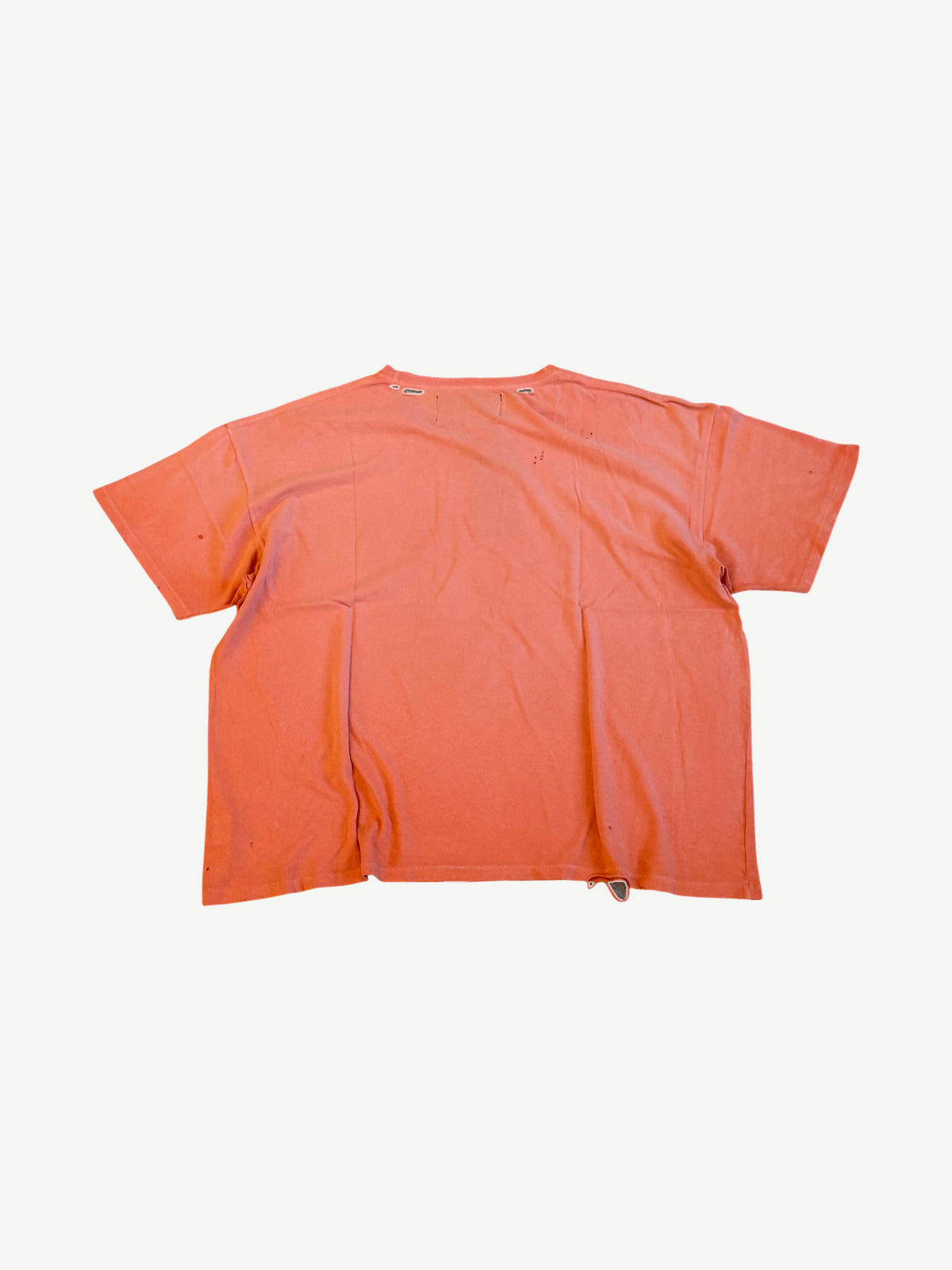 Paly Hollywood Orange Close Up Tee