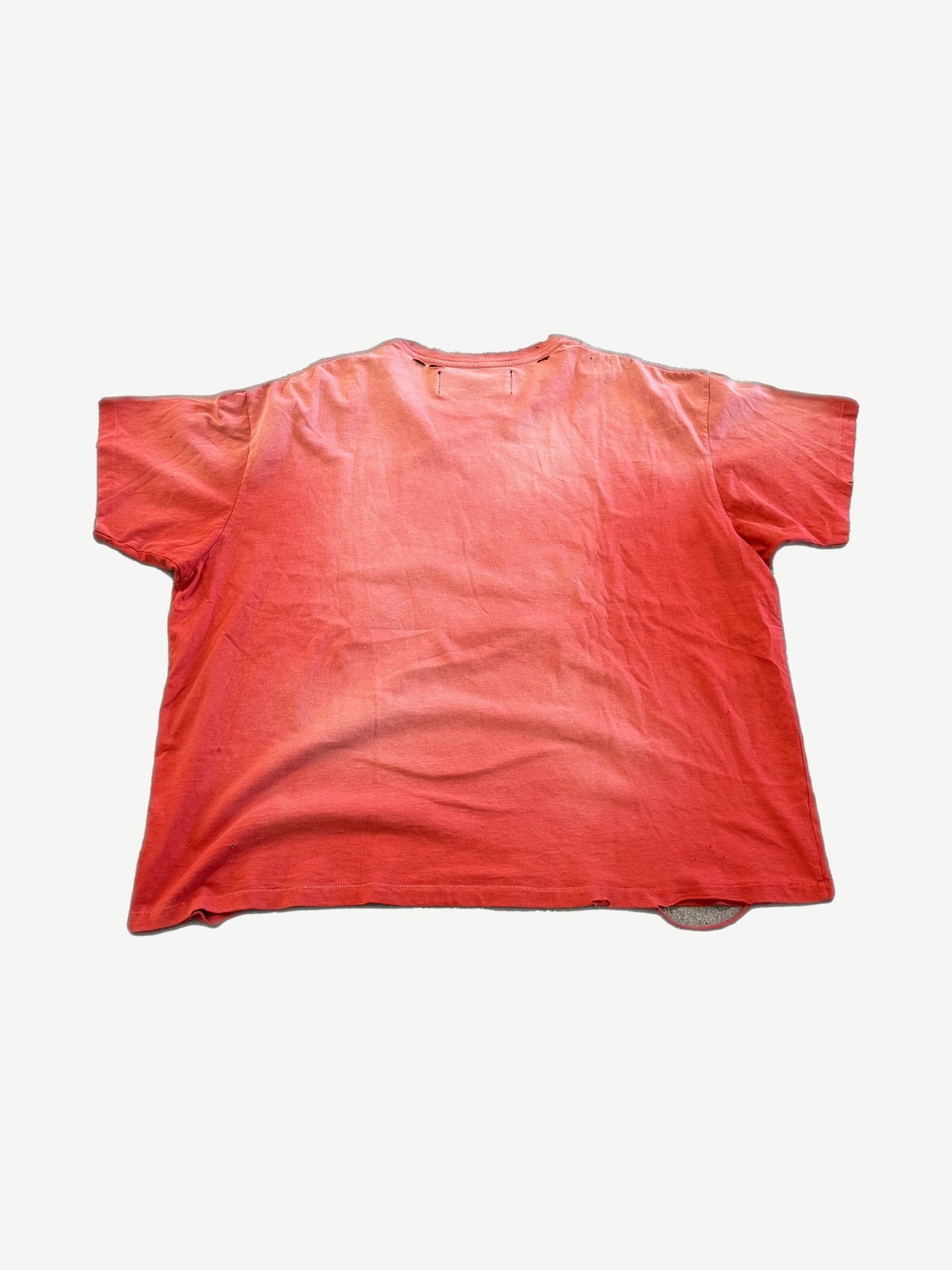 Paly Hollywood Spirit of Jimmy red distressed tee back view, sun-faded cotton with raw edge hem detailing