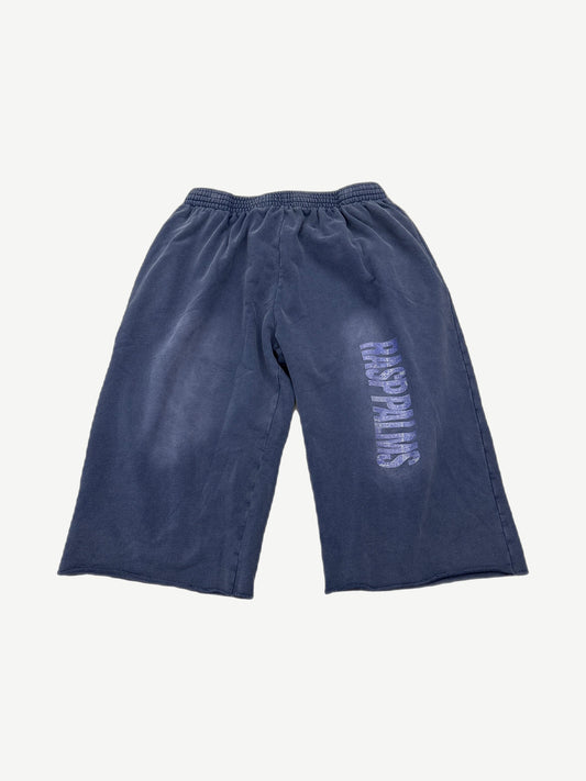 GV Gallery navy fleece cutoff sweat shorts with Raspberry Hills script embroidery on left thigh, front view