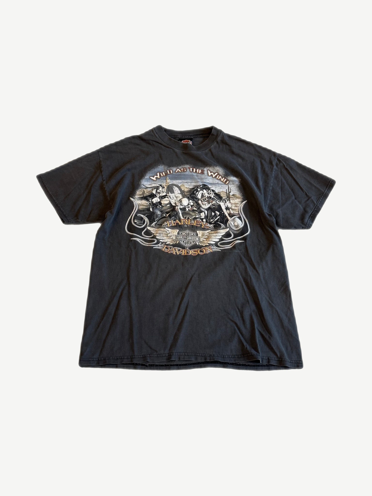 Vintage Harley Davidson Looney Tunes faded black tee with Wild as the Wind biker characters graphic, front view