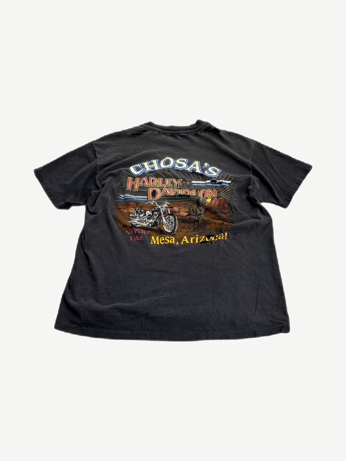 Back of vintage Harley Davidson tee with Chosa's Mesa Arizona desert and chopper motorcycle graphic