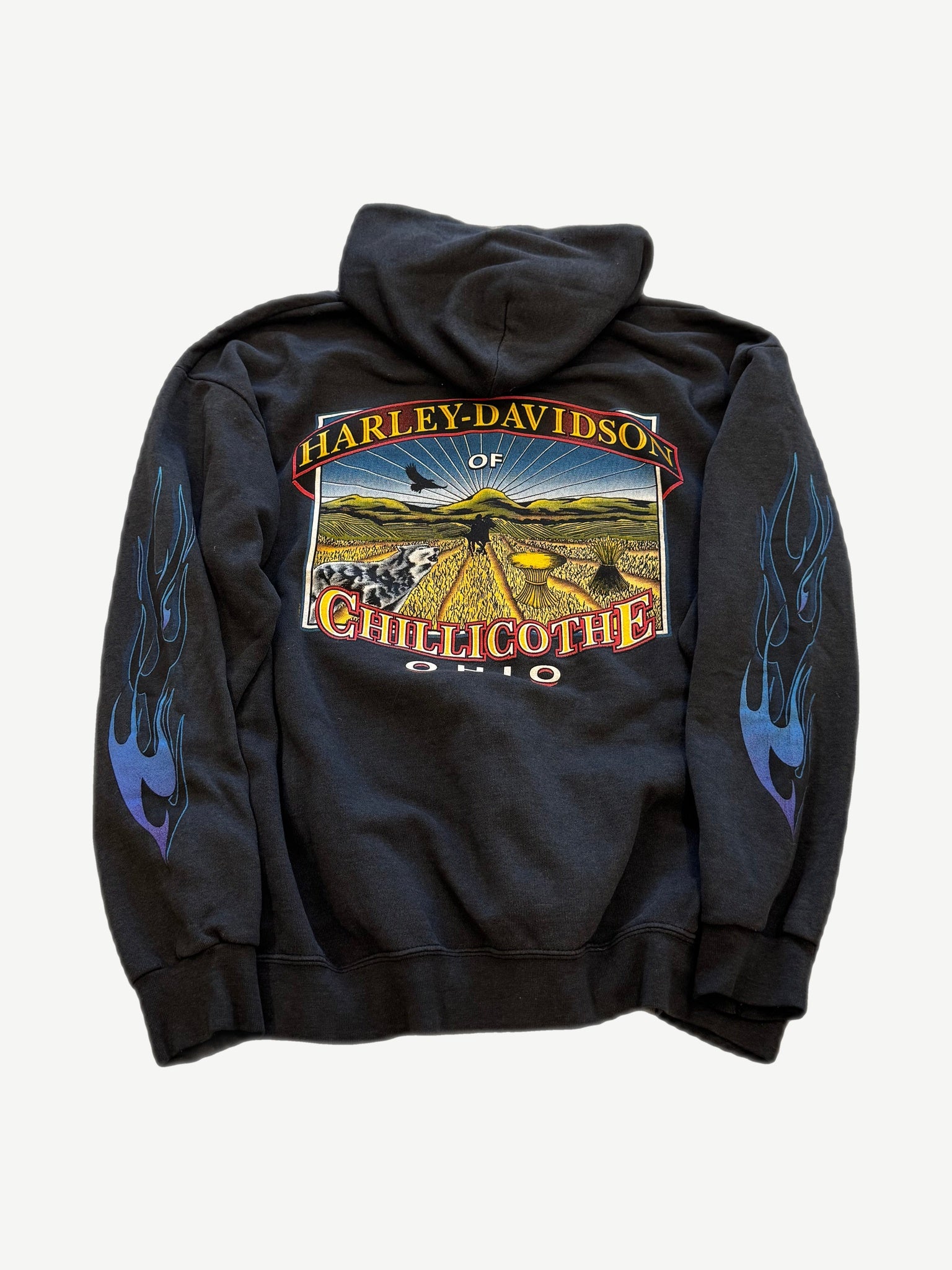 Vintage Harley Davidson blue zip-up hoodie back view with Ohio dealer print and flame embroidered graphic