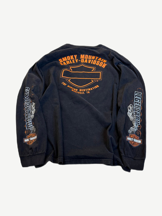 Vintage Harley Davidson Destination longsleeve back with bike and rider chain print graphic
