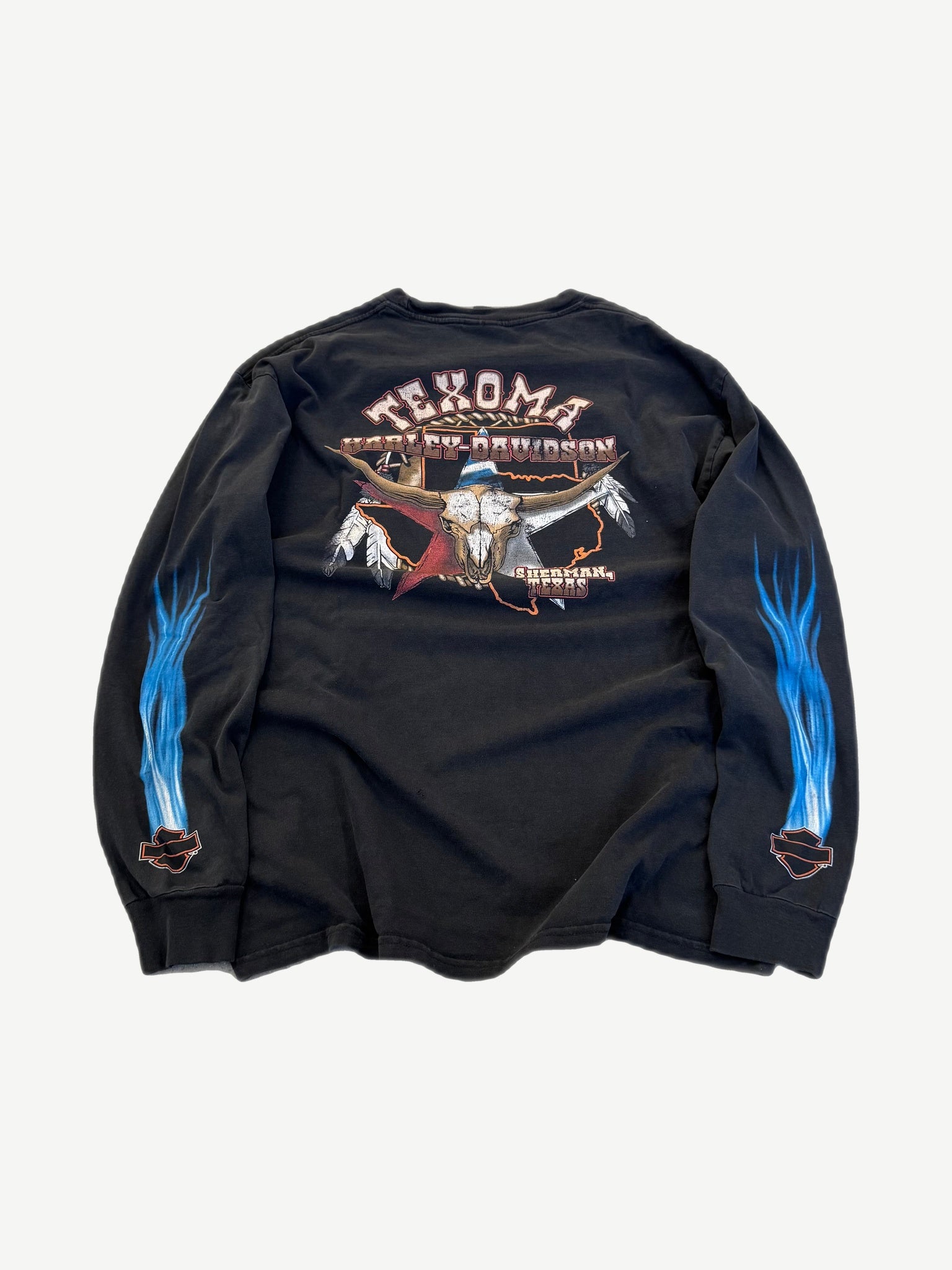 Vintage Harley-Davidson blue flames longsleeve back view, eagle logo with flame sleeves