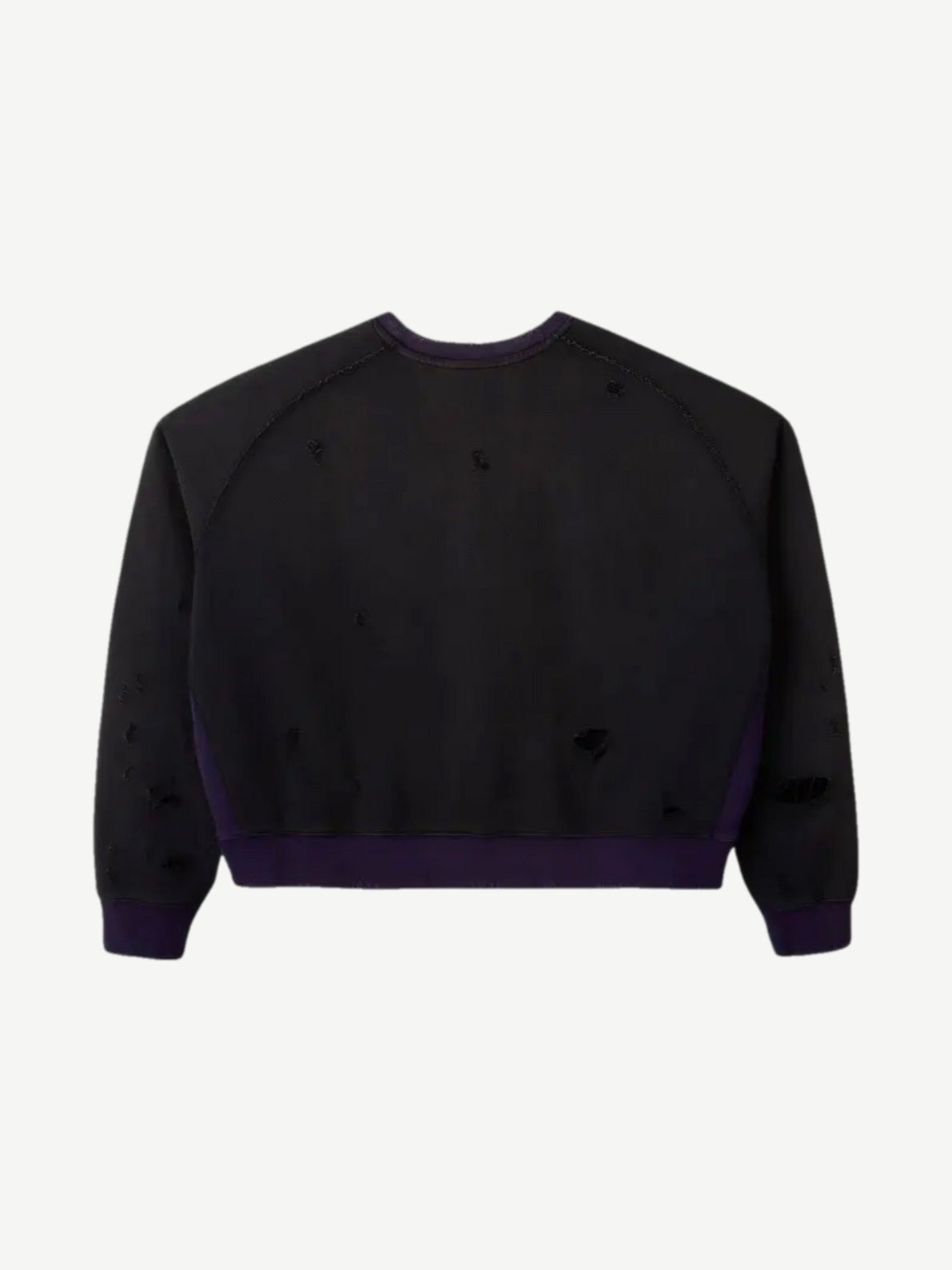 Raspberry Hills distressed black crewneck sweatshirt back view, blank panel with purple ribbed hem and scattered holes.