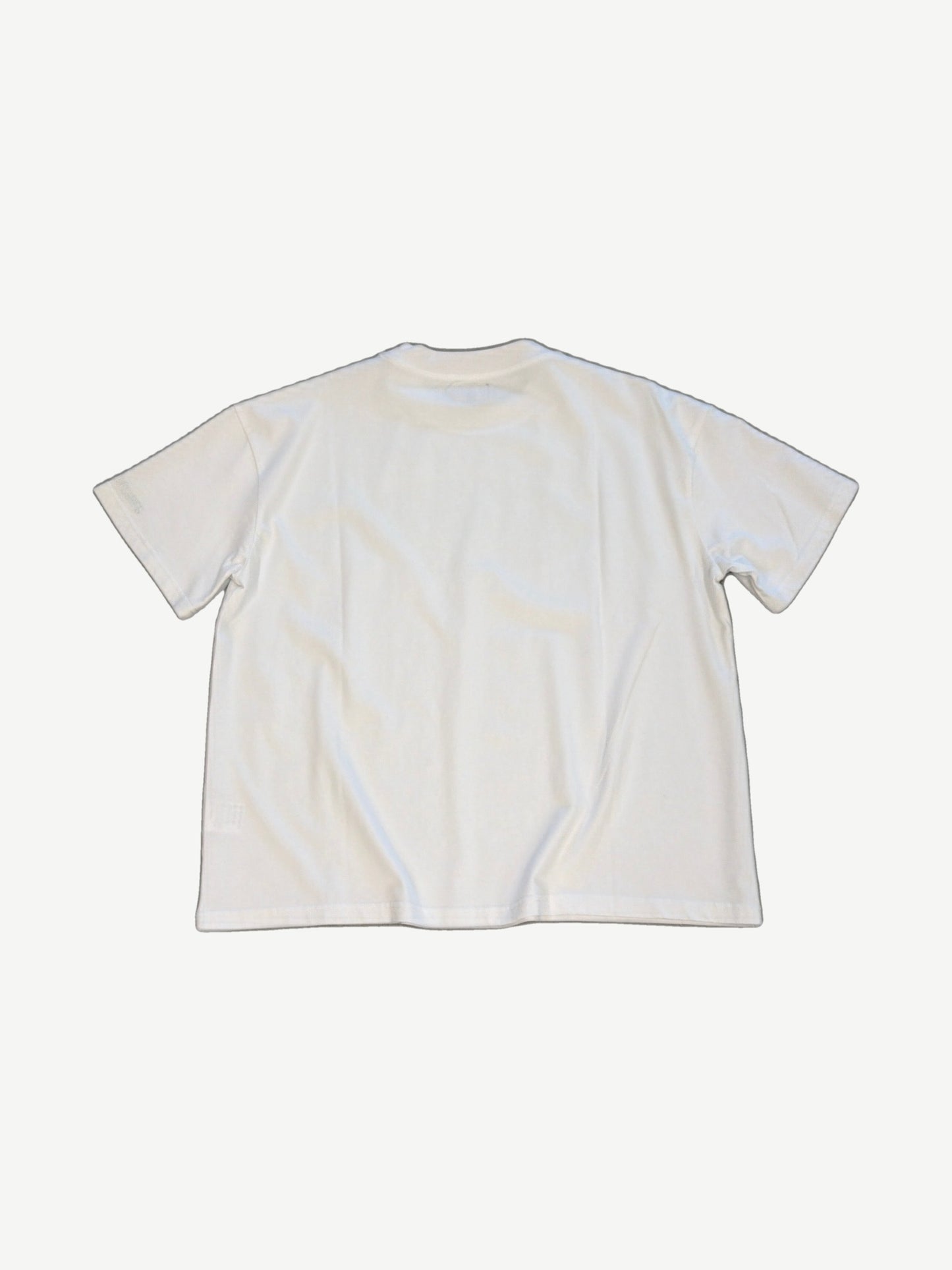 Bottega Desires plain white cotton tee back view with crew neck and short sleeves