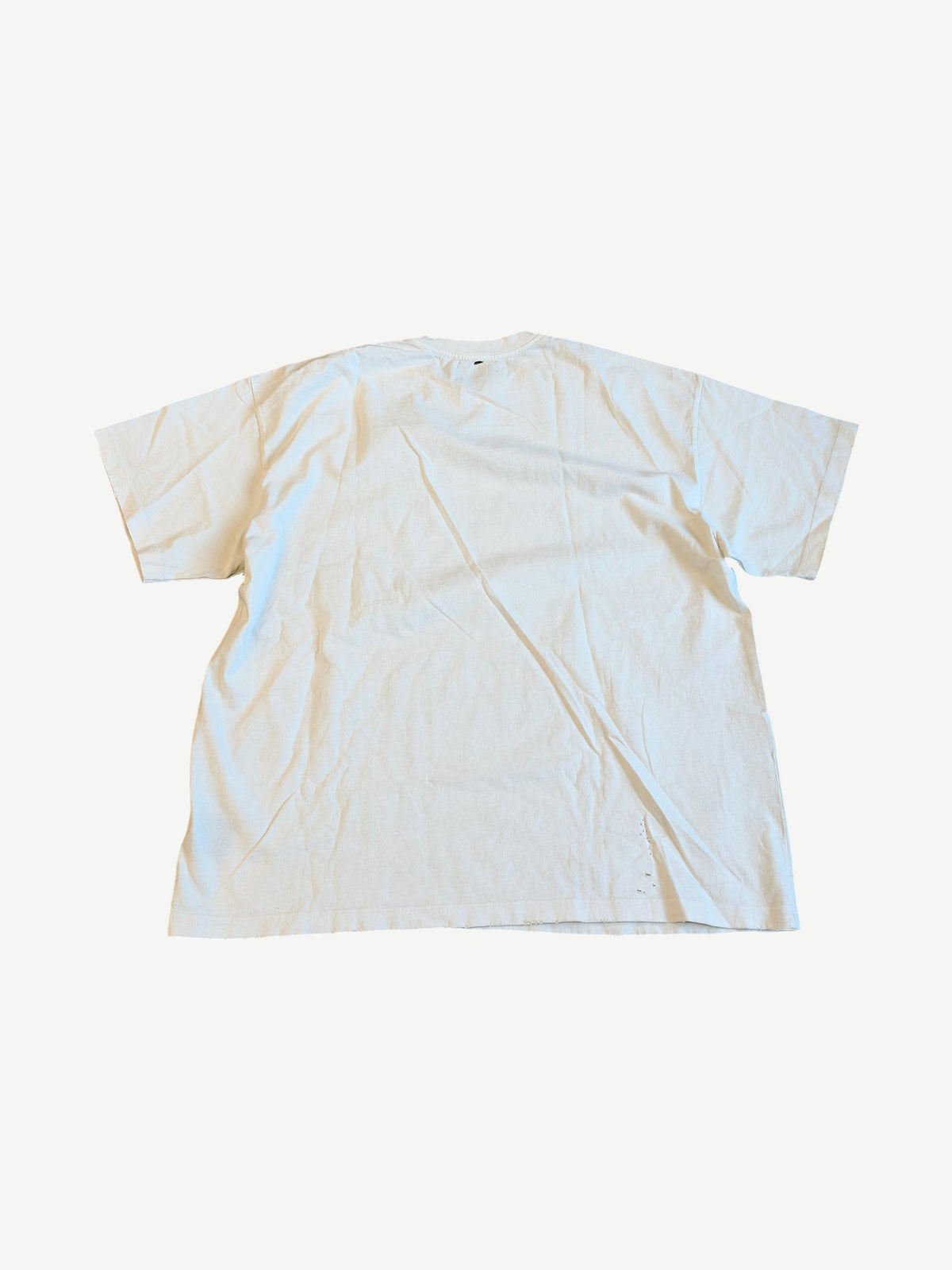 Satoshi Nakamoto Don't Ask Tee