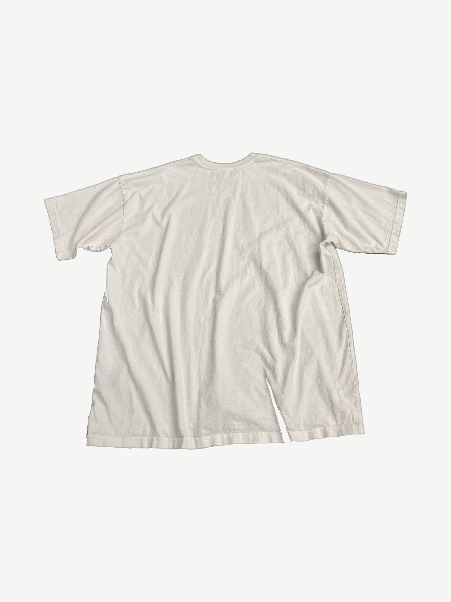 Satoshi Nakamoto plain white cotton tee back view with crew neck and short sleeves