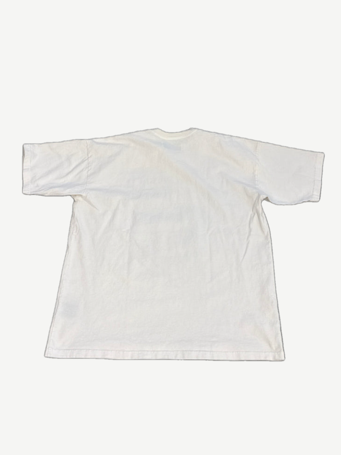 Satoshi Nakamoto Why Can't We Be Friends tee plain white back view in soft cotton with crew neck.