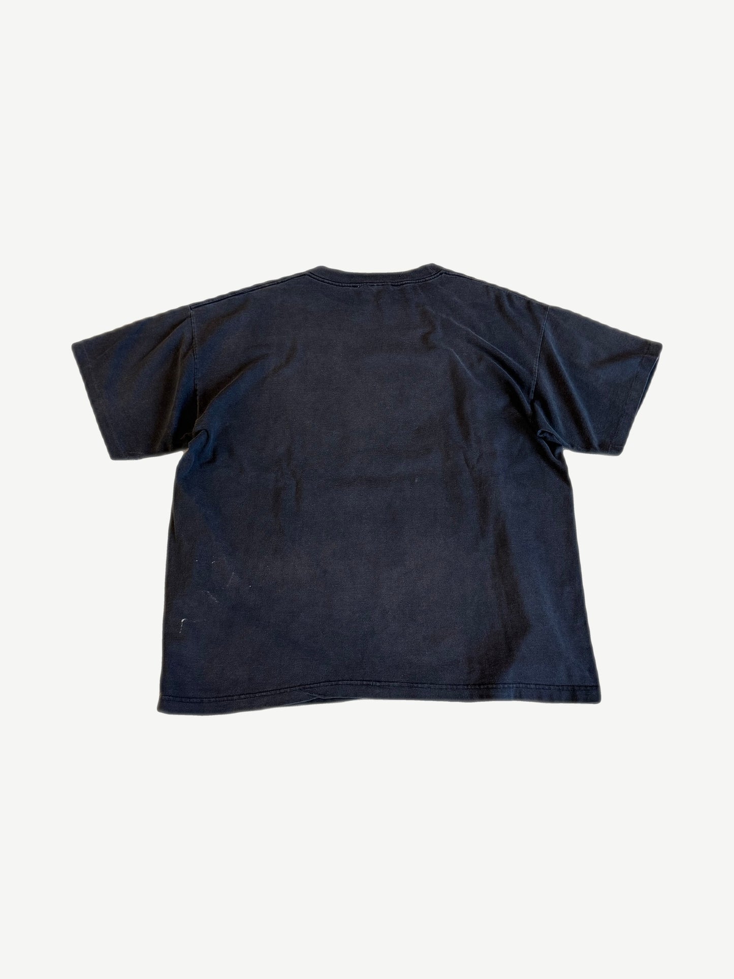 Vintage Dennis Rodman Chairman of the Boards tee back view in faded black with clean cotton panel.