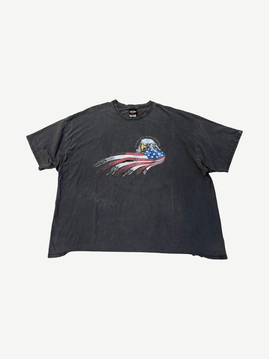 Vintage Faded Harley Davidson Eagle Flag Tee