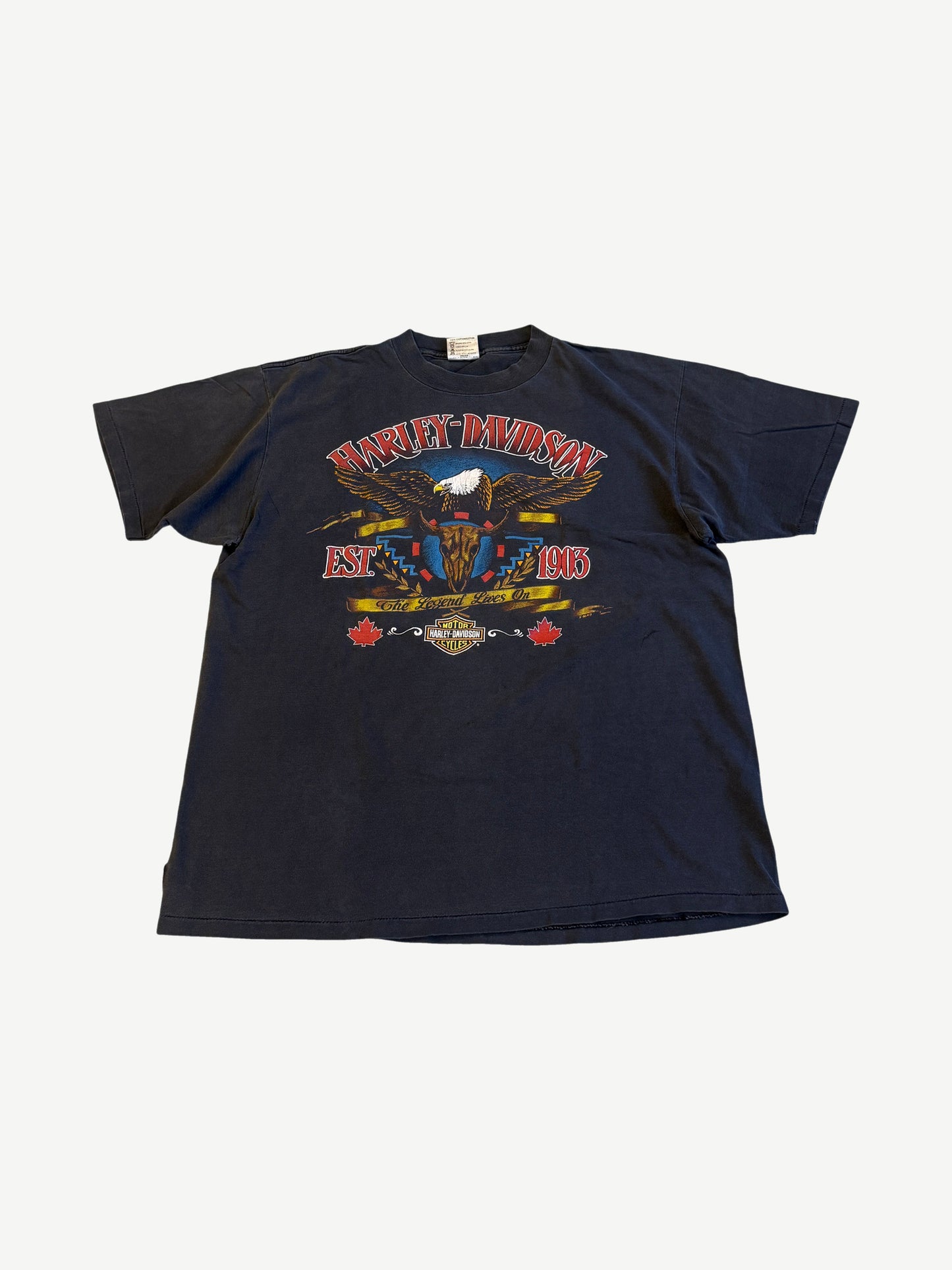 Vintage Harley Davidson The Legend Lives On Banff Tee