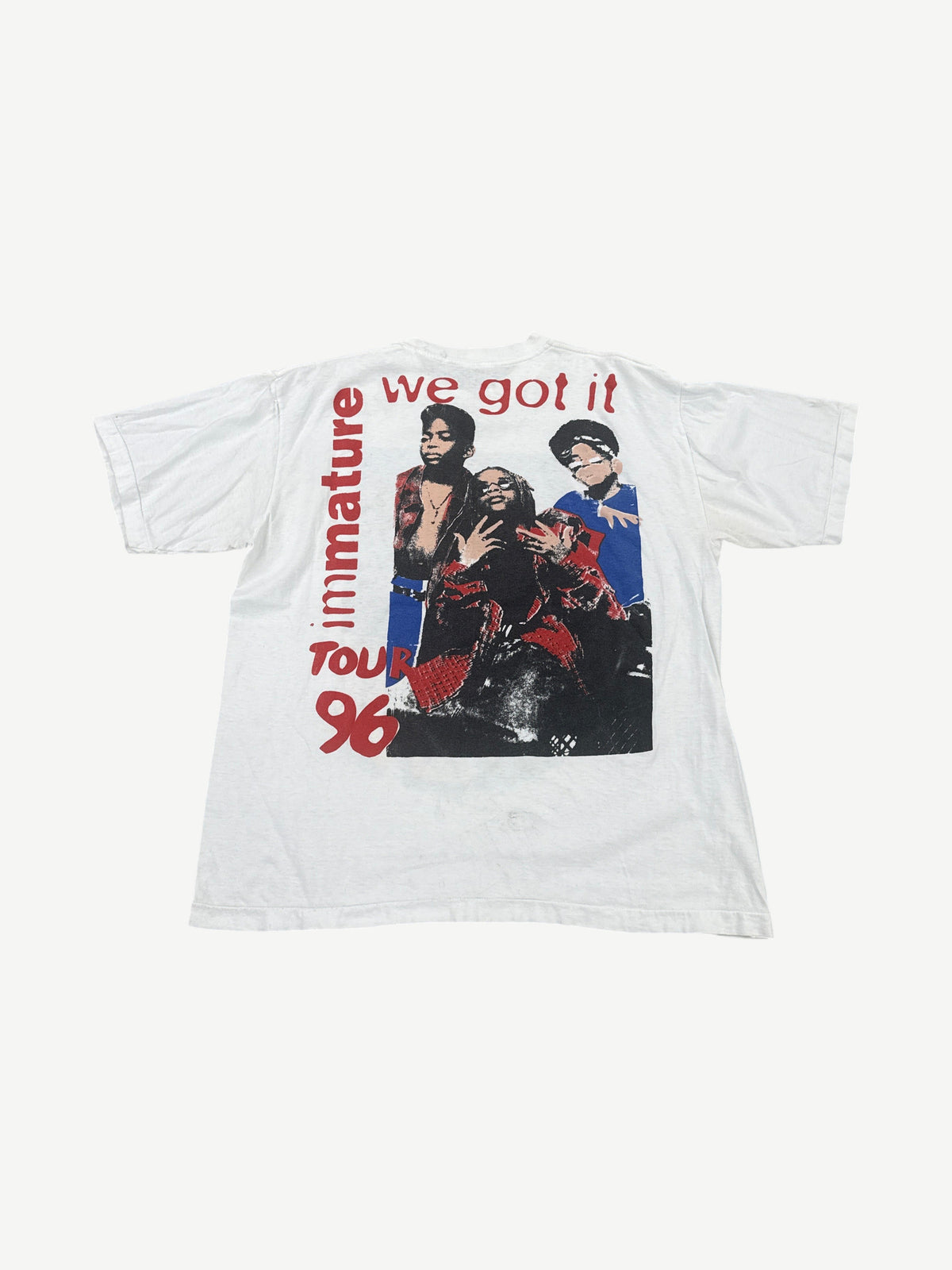 Vintage Immature We Got It Tour Rap Tee