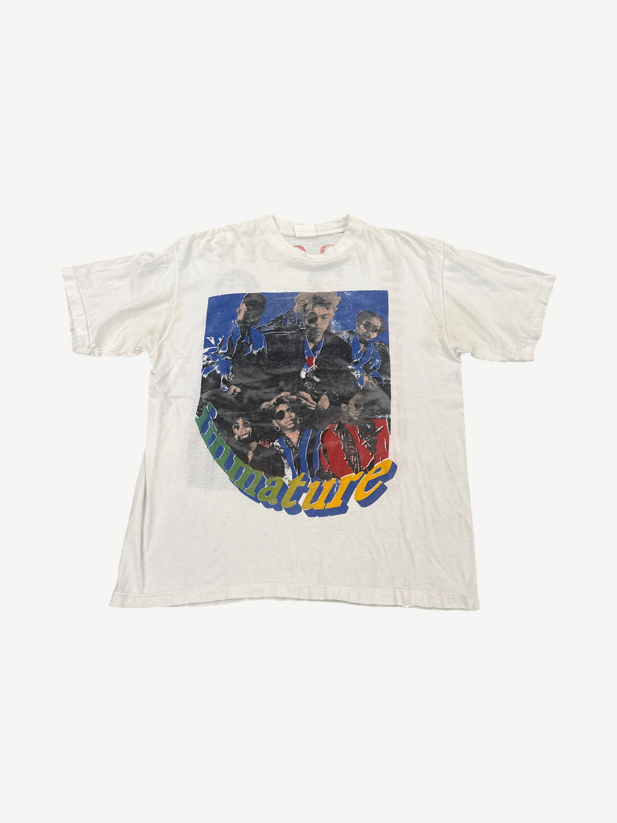 Vintage Immature We Got It Tour Rap Tee