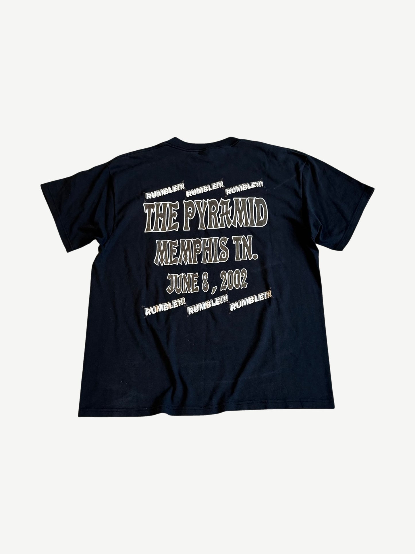 Vintage Tyson Lewis boxing tee back with The Pyramid Memphis TN June 8 2002 venue date and RUMBLE prints