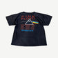 Vintage Pink Floyd Division Bell tee back showing prism graphic and 1994 North American tour cities.