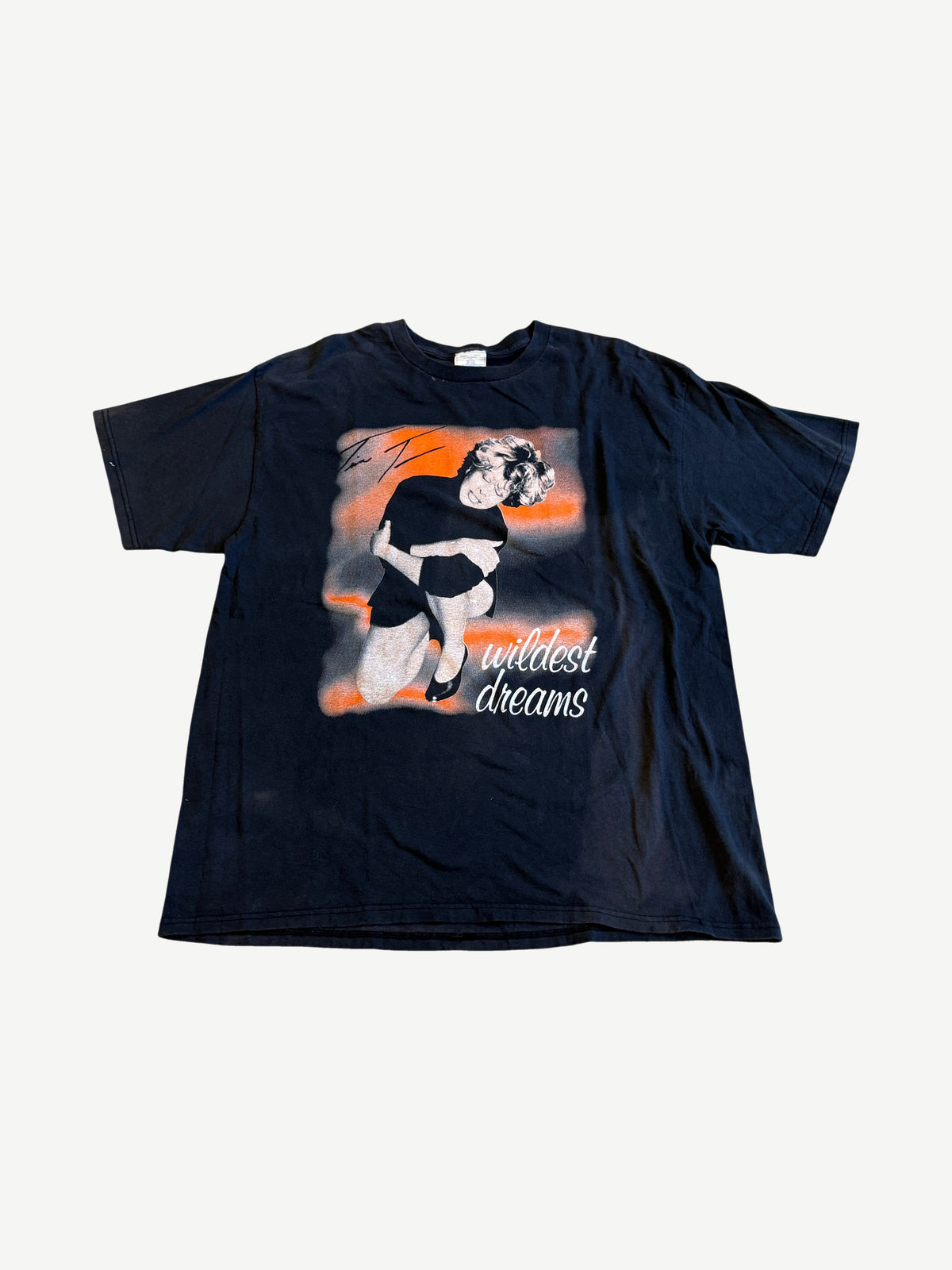 Vintage Tina Turner Wildest Dreams Tour Tee